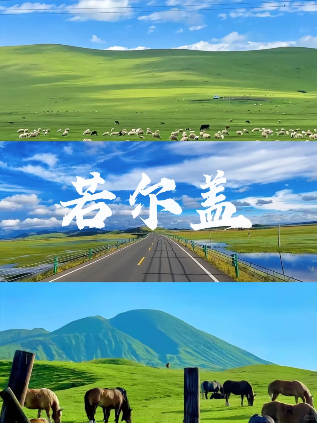 若尔盖的草这次是真的绿了 3天2晚人均500+_1_PandaI旅游_若尔盖草原-来自52tours 我爱旅游网